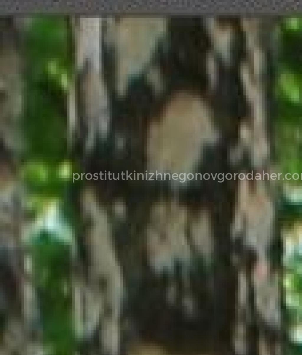 Лариса: проститутки индивидуалки в Нижнем Новгороде